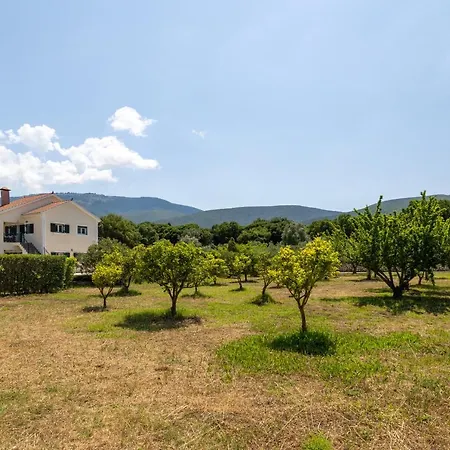 ισόγειο