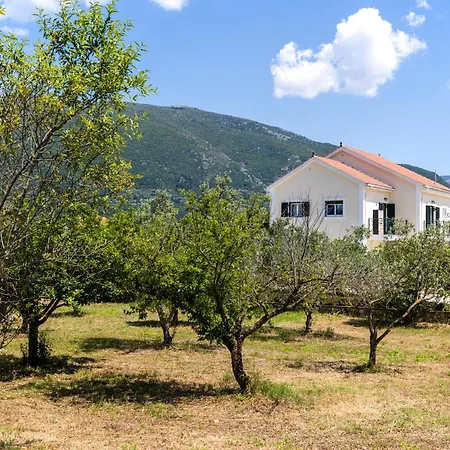 ισόγειο *